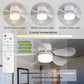 🔥Limited 50% OFF✨2-IN-1 PORTABLE CEILING FAN & LIGHT with Remote Control🌀3