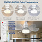🌬️🌞New Arrival Hot Sale - 50% OFF!🛋️2-in-1 Remote-Controlled Ceiling Fan with LED Light