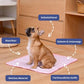 🐶hot sale🐱Summer pet cooling mat🧊 with non-toxic self-cooling gel💎