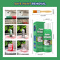 🎨Buy 1 get 1 free✨Best-Selling Paint Stripper – Fast & Powerful Removal