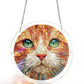 🔥Last chance: 50% off!! ☀️🛍️Acrylic Jigsaw Puzzle Suncatcher 80 Pieces