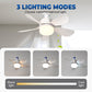 🌬️🌞New Arrival Hot Sale - 50% OFF!🛋️2-in-1 Remote-Controlled Ceiling Fan with LED Light