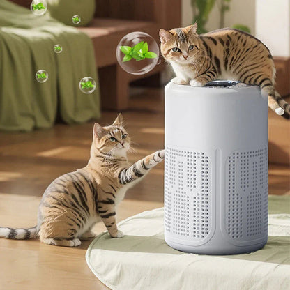 🔥Last 50% off🌬️ Mini Home Air Purifier – Quiet and Energy-Efficient – Pay on Delivery 🏠✅