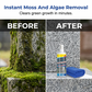 🔥Sale 50% OFF⏰🎁Headstone Cleaning & Restoration Spray – Remove Stains Instantly
