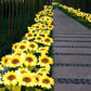 🌻50% Off 🔥- Waterproof Sunflower Solar Garden Stake Lights