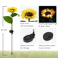 🌻50% Off 🔥- Waterproof Sunflower Solar Garden Stake Lights