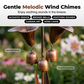 🔥BUY MORE SAVE MORE🔥Calla Lily Garden Stake with Bell Chimes