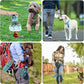 🔥50% off for a limited time⏰Mini Portable Dog Poop Scooper with Bag Dispenser🐶