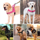 🥳2026 HOT SALE🥳🐕💪 50% OFF! Heavy‑Duty Tactical Dog Harness – No‑pull, no‑choke. 🛡️✨
