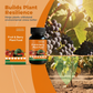 ⏰50%off🔥Fruit & Berry Plant Food🍇