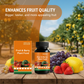 ⏰50%off🔥Fruit & Berry Plant Food🍇