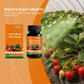 ⏰50%off🔥Fruit & Berry Plant Food🍇