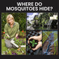 🔥50% off for a limited time⏰Solar Mosquito Zapper Lamp Stake