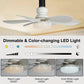 🔥Limited 50% OFF✨2-IN-1 PORTABLE CEILING FAN & LIGHT with Remote Control🌀3