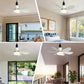 🔥Limited 50% OFF✨2-IN-1 PORTABLE CEILING FAN & LIGHT with Remote Control🌀3