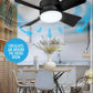 🔥Limited 50% OFF✨2-IN-1 PORTABLE CEILING FAN & LIGHT with Remote Control🌀3