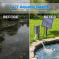 ☀️🌿 Solar Pond Aerator – Continuous oxygenation, eco-friendly, no electricity, simple setup-Q