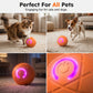 🔥50K+ SOLD!   🐾 AUTO-BOUNCING SMART PET BALL WITH REMOTE CONTROL— 3 Interactive Modes | Chew-Resistant E-TPU | USB-C Rechargeable 🎾-Q