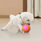 🔥50K+ SOLD!   🐾 AUTO-BOUNCING SMART PET BALL WITH REMOTE CONTROL— 3 Interactive Modes | Chew-Resistant E-TPU | USB-C Rechargeable 🎾-Q
