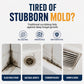 ♻️Chicssleek® Multi-Purpose Mold & Mildew Stain Remover
